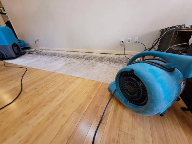 Professional Emergency Water Damage technician working in Tiltonsville, OH